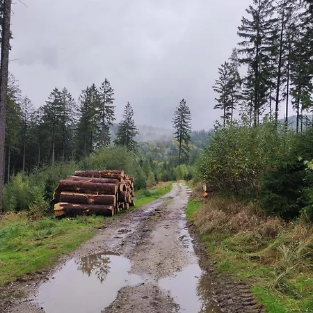 Dom Na Wzgorzu Lądek-Zdrój
